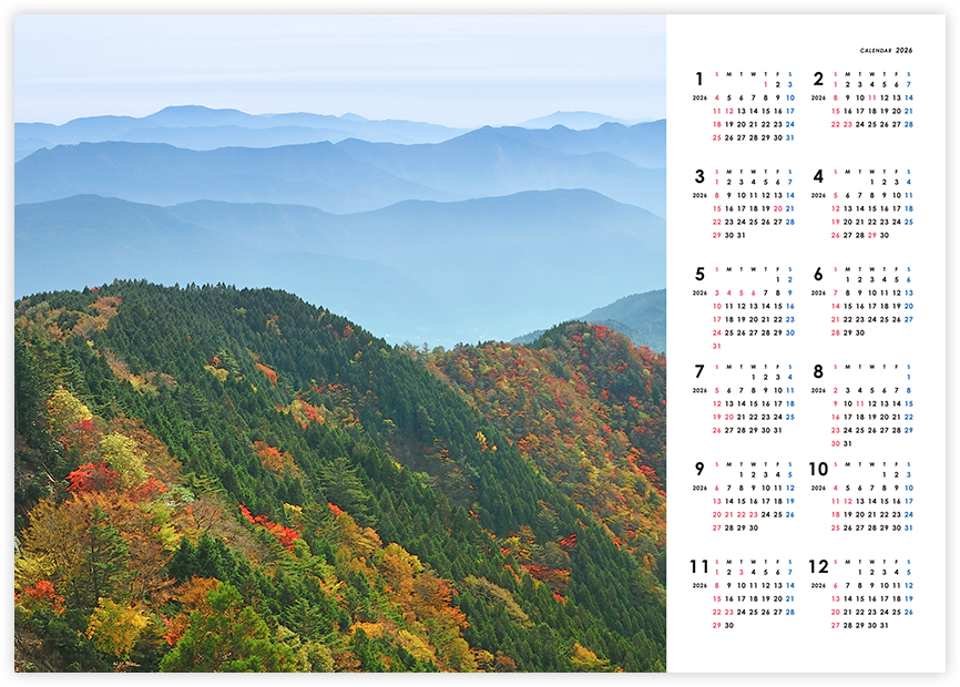 スタンダード 1：1 横
